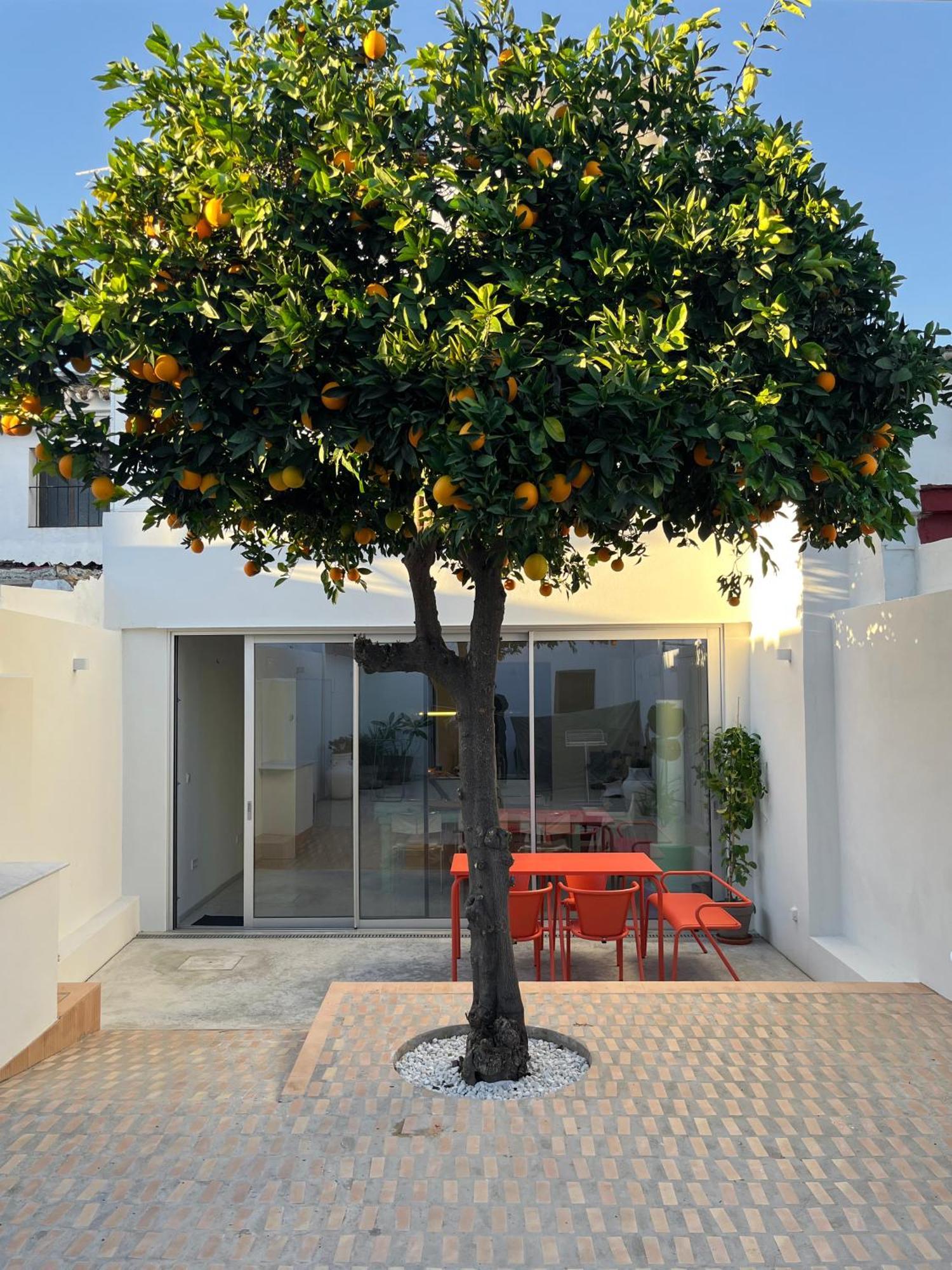Design & Art, Patio With Orange Tree, Near Seville Carrion de Los Cespedes Dış mekan fotoğraf