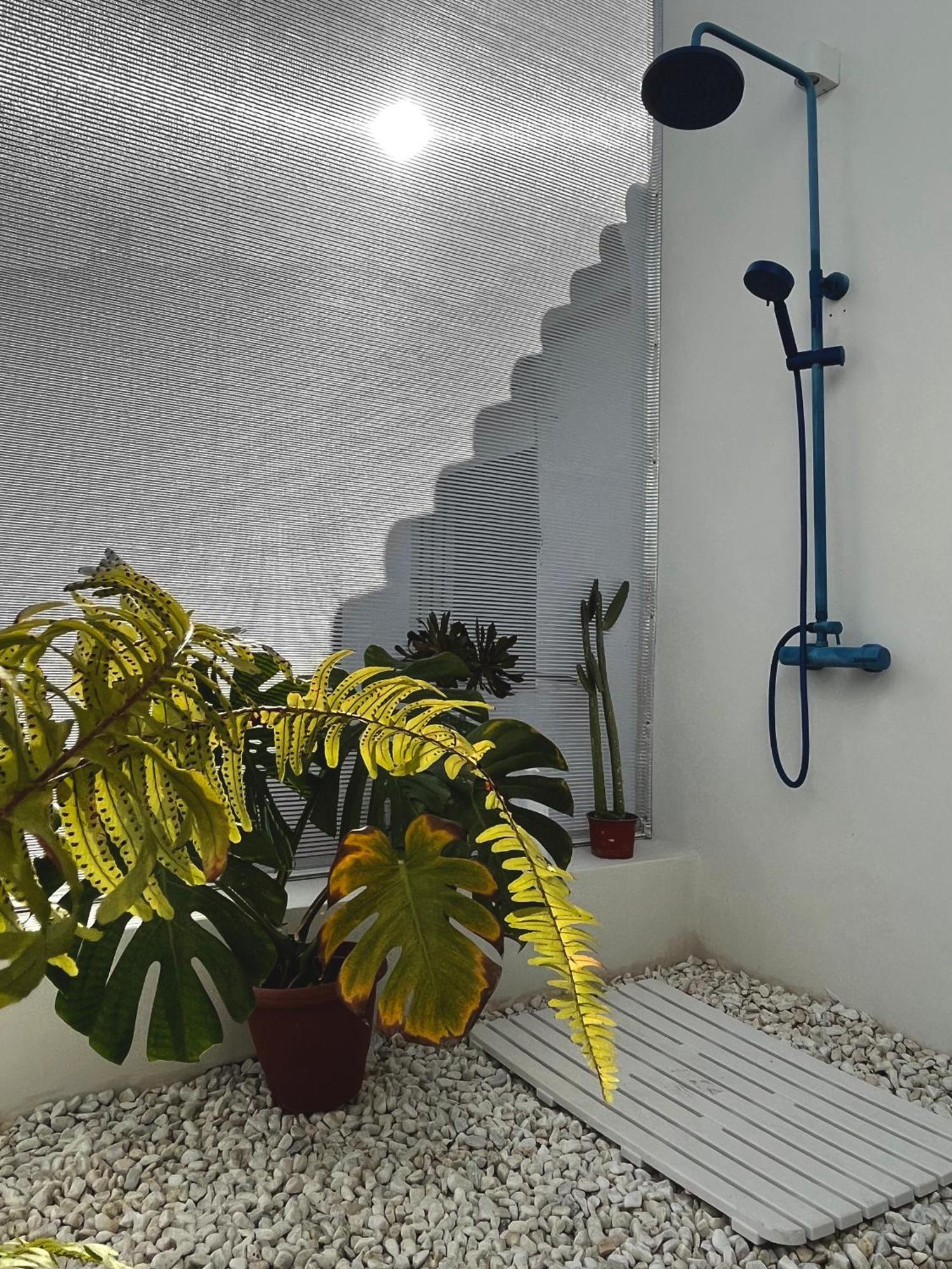 Design & Art, Patio With Orange Tree, Near Seville Carrion de Los Cespedes Dış mekan fotoğraf